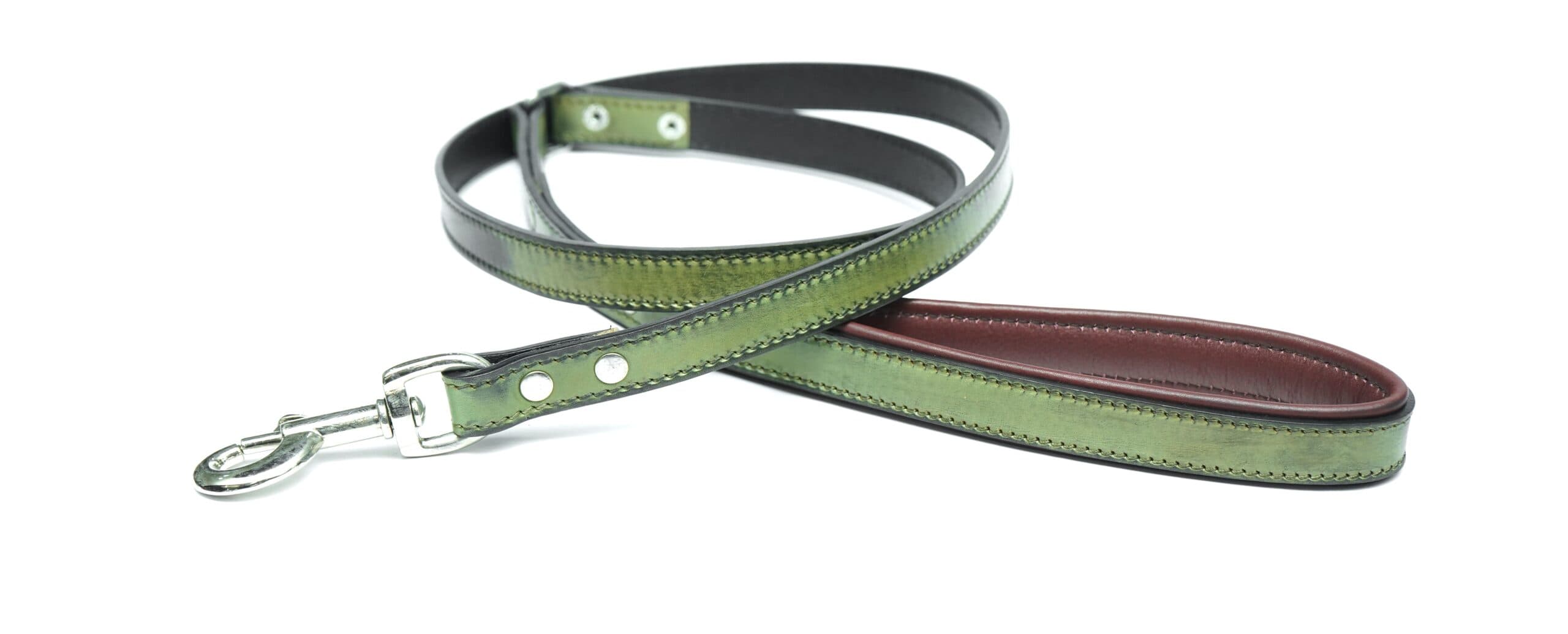 Dog Leashes