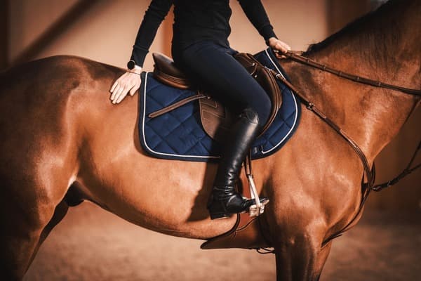 Equestrian Products